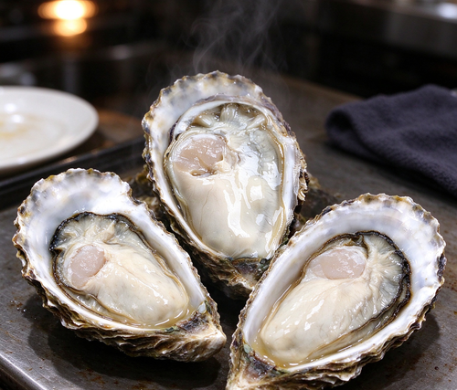 Oysters